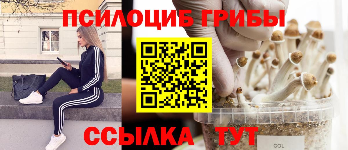 Югорск  Галлюциногенные грибы GOLDEN TEACHER  Вход с VPN 